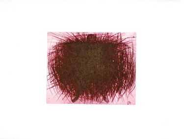 Rainer Arnulf - Verdeckter Schmetterling
